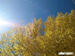 什么时候最想念一个人