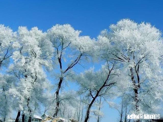 什么时候最想念一个人