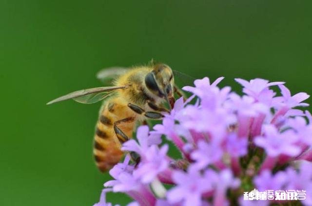 什么时候最想念一个人