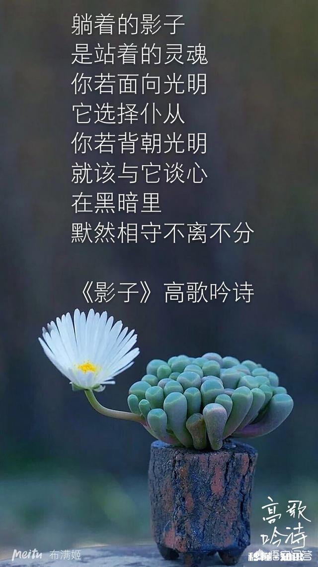 之所以累，是因为生活在现如今的社会，每个人都被迫背负太多，你赞同这样的观点吗