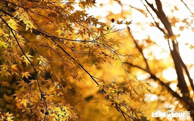 为什么某些人为了钱，亲情爱情友情都不要了