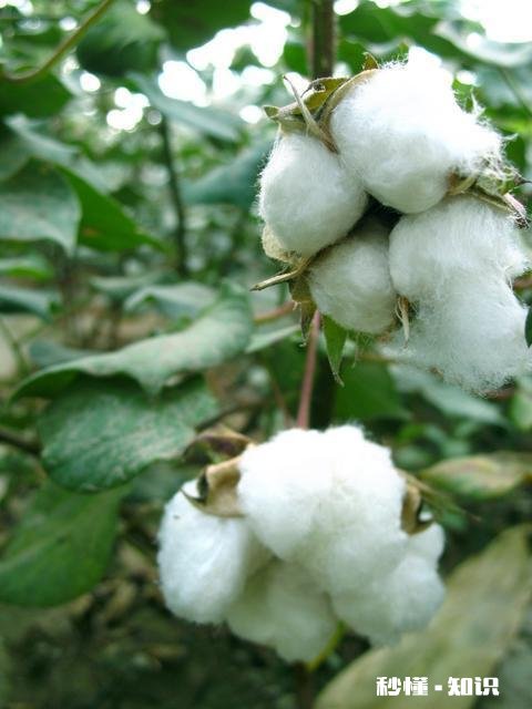 农民进城，是助农吗