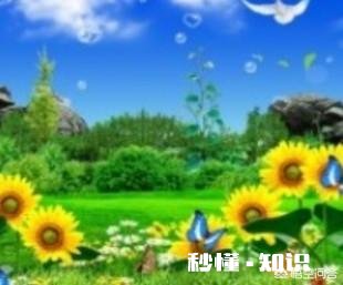 吃什么能缓解春困