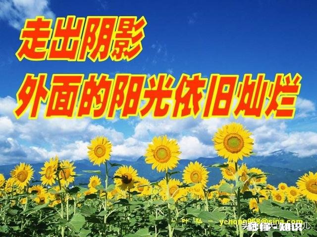 怎么能彻底走出喜欢过的一个人的阴影