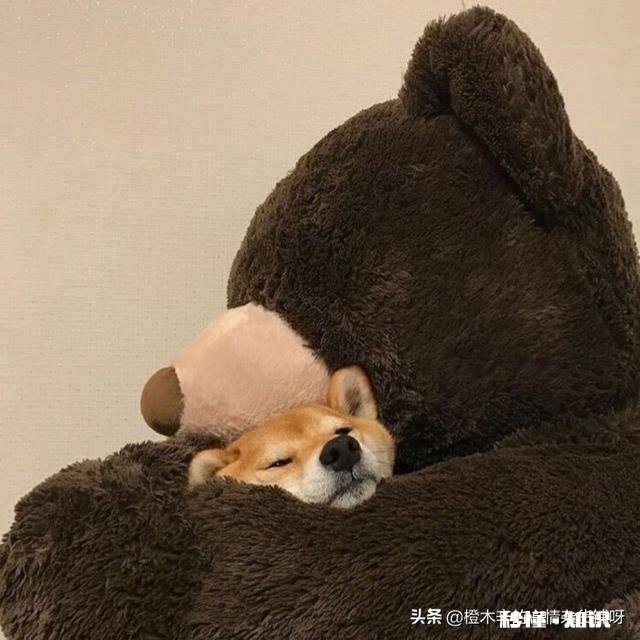 怎么能彻底走出喜欢过的一个人的阴影