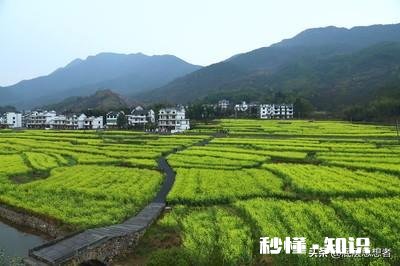 如果你是农村人，当你走出农村在城里买房子居住，你会怀念农村吗