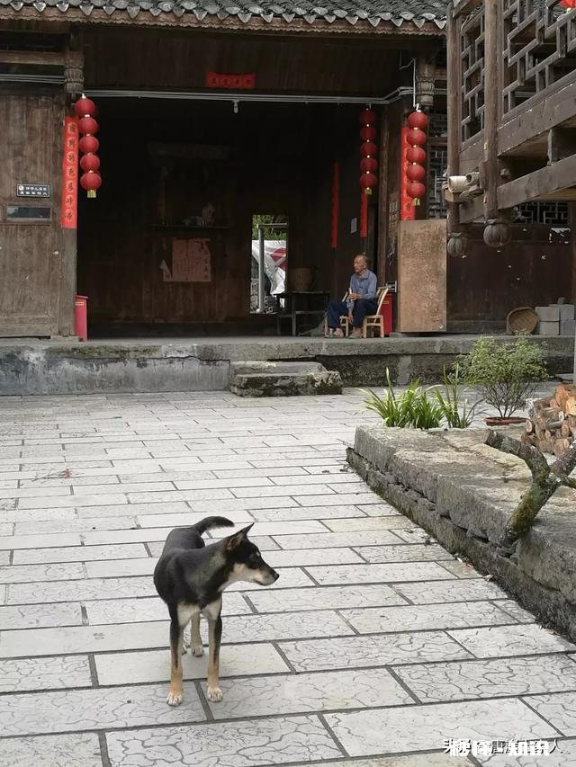 如果你是农村人，当你走出农村在城里买房子居住，你会怀念农村吗