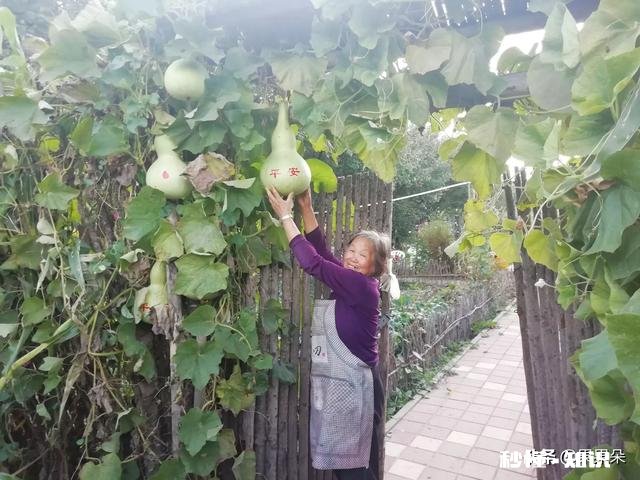 如果你是农村人，当你走出农村在城里买房子居住，你会怀念农村吗