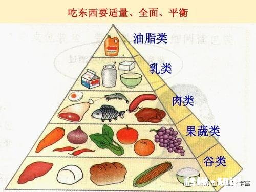 胖的孩子和瘦的孩子初中哪个更聪明