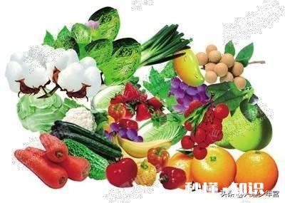 胖的孩子和瘦的孩子初中哪个更聪明