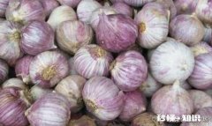 农村种的独蒜，有什么作用和大蒜有区别吗