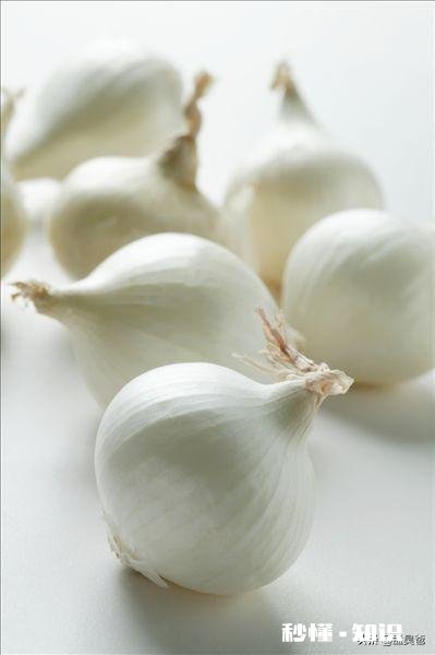 农村种的独蒜，有什么作用和大蒜有区别吗