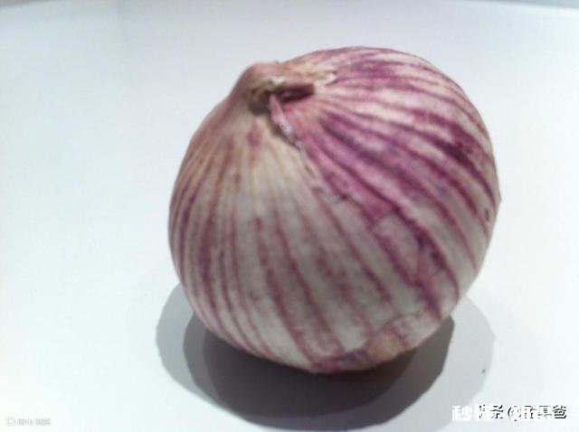 农村种的独蒜，有什么作用和大蒜有区别吗