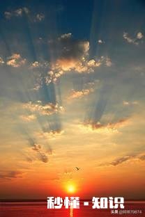 上联：一声征雁，半窗残月，凄凉只恐乡心起。下联怎么对