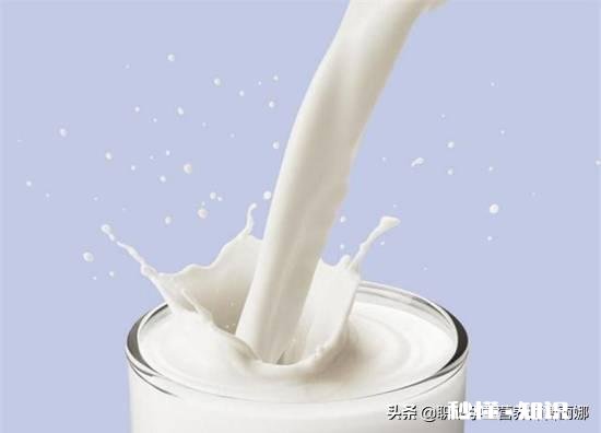 六岁儿童吃什么奶最适合