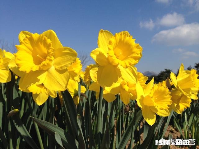 2019年一个人在上海，杭州的一个月生活成本是多少