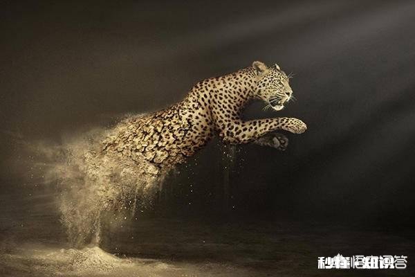 以人类现有的技术水平能灭绝苍蝇和蚊子吗为什么