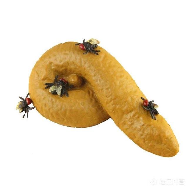 以人类现有的技术水平能灭绝苍蝇和蚊子吗为什么