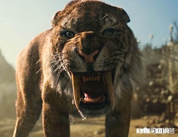 以人类现有的技术水平能灭绝苍蝇和蚊子吗为什么