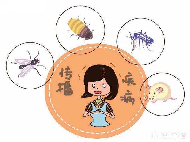 以人类现有的技术水平能灭绝苍蝇和蚊子吗为什么