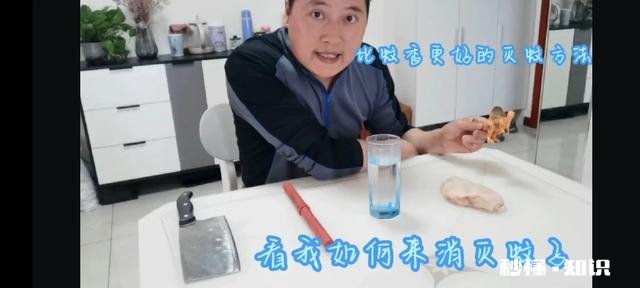 以人类现有的技术水平能灭绝苍蝇和蚊子吗为什么