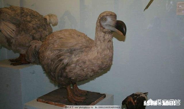 以人类现有的技术水平能灭绝苍蝇和蚊子吗为什么