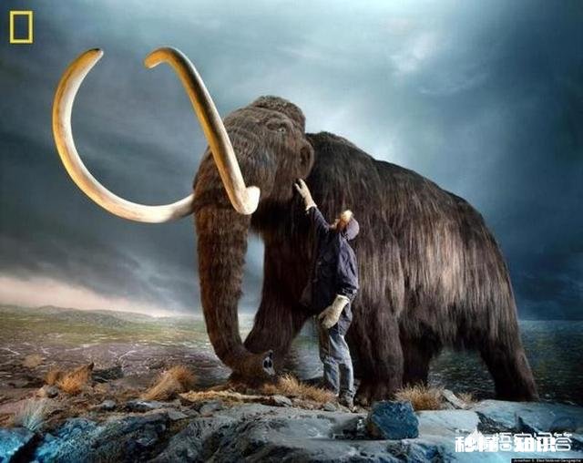 以人类现有的技术水平能灭绝苍蝇和蚊子吗为什么