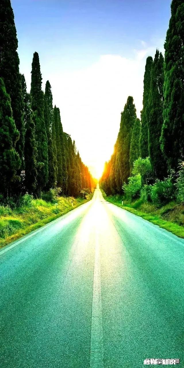 当别人把痛苦和烦忧强加在我们头上，我们一味忍让，就叫善良吗