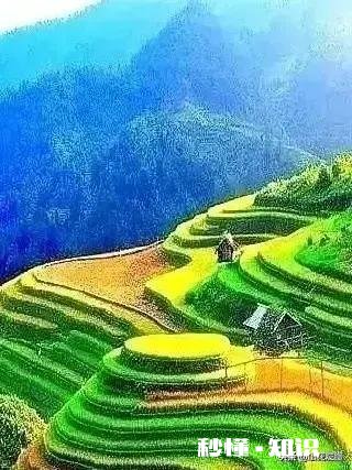 当别人把痛苦和烦忧强加在我们头上，我们一味忍让，就叫善良吗