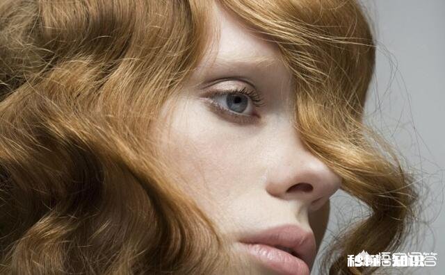 有没有改善头发干燥分叉、头皮紧绷问题的洗发水推荐