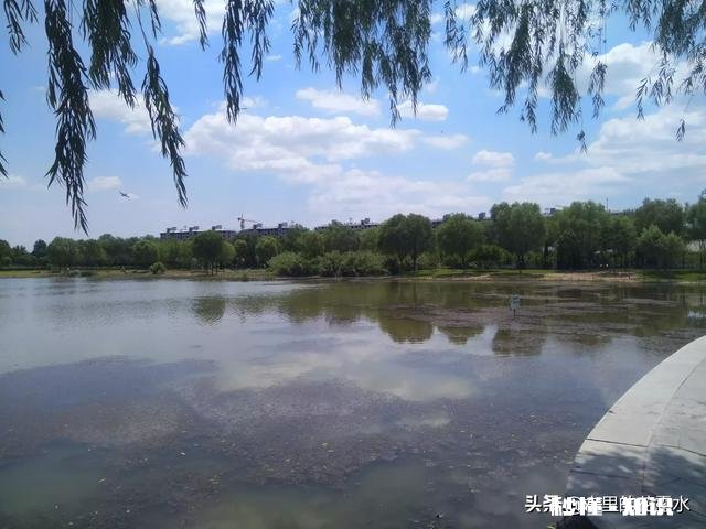 她 当你遇见一个非常喜欢的人，但是你发现他不喜欢你，你会怎么做呢