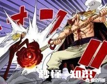 为什么赤犬被白胡子攻击了那么多次,后面还能生龙活虎的追杀路飞他们