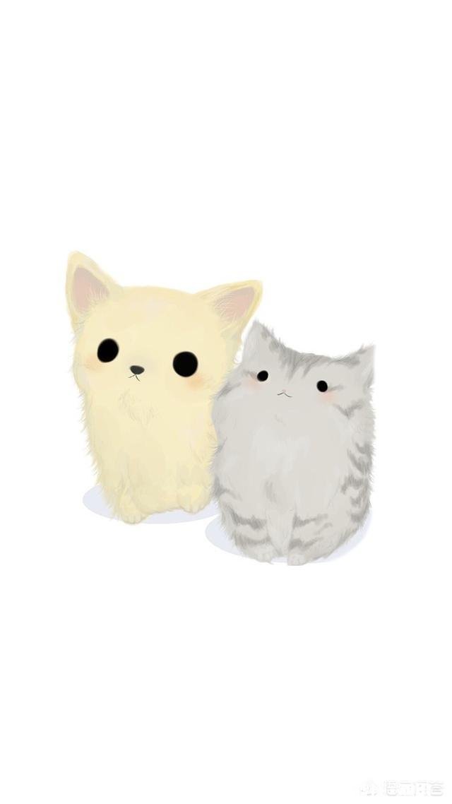 为什么赤犬被白胡子攻击了那么多次,后面还能生龙活虎的追杀路飞他们