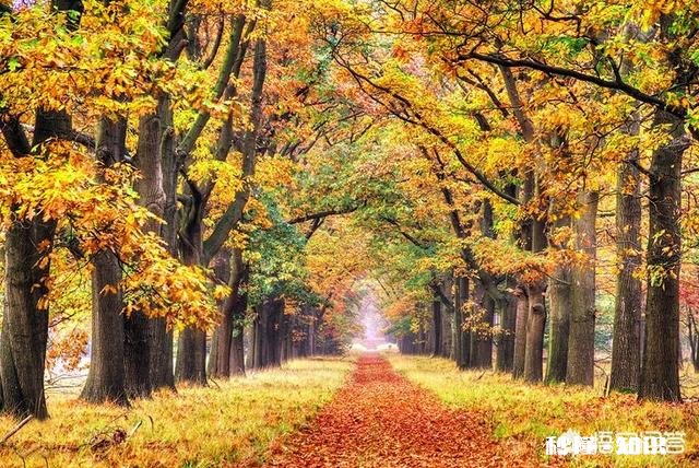 荷兰有哪些好玩的地方