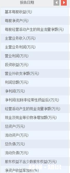 证券类公司什么财务指示最重要
