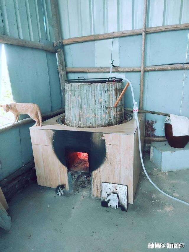 酿酒行业现在怎么样新手加入有什么建议吗