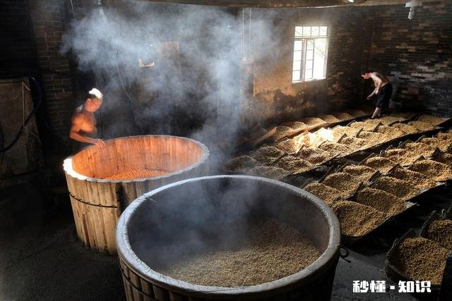 酿酒行业现在怎么样新手加入有什么建议吗