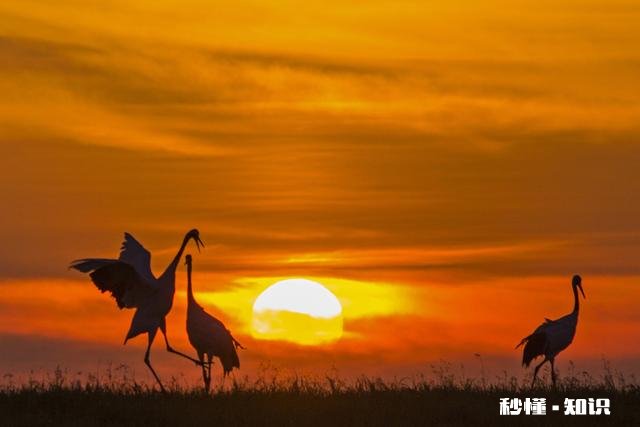 春未初夏30度以上的晴天好钓鱼吗