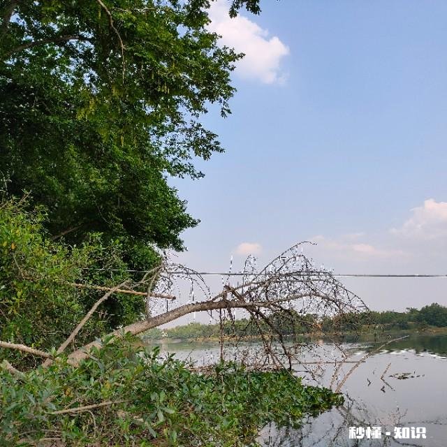 春未初夏30度以上的晴天好钓鱼吗