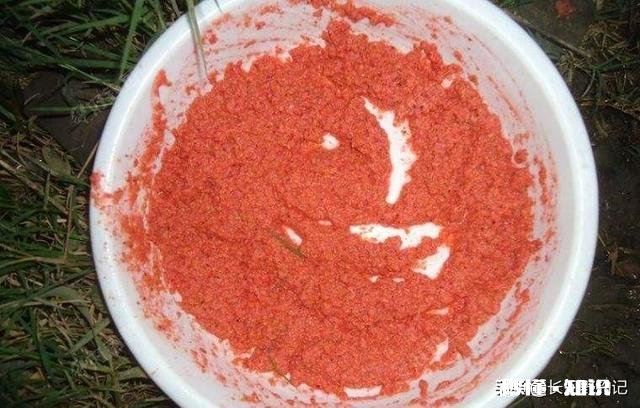 春未初夏30度以上的晴天好钓鱼吗