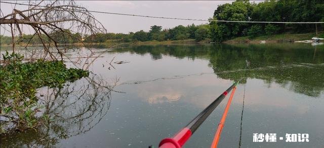 春未初夏30度以上的晴天好钓鱼吗