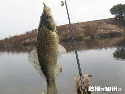 春未初夏30度以上的晴天好钓鱼吗