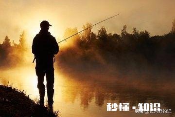 春未初夏30度以上的晴天好钓鱼吗