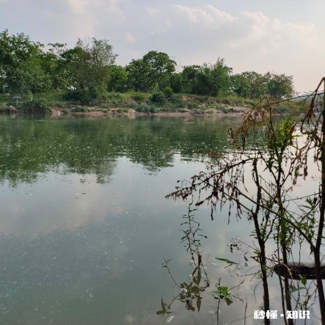 春未初夏30度以上的晴天好钓鱼吗