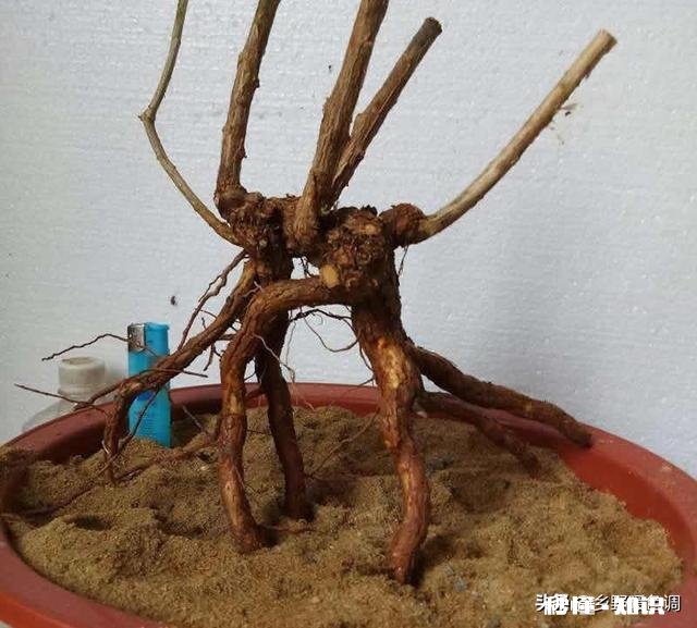 在农村有辆车有几亩地的情况下，做什么能保证不愁吃喝