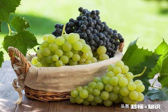 请分析什么原因造成葡萄大小粒，不成串