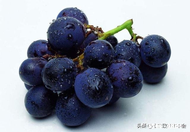 请分析什么原因造成葡萄大小粒，不成串