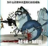 鱼缸里的水是茶色的，是怎么回事如何处理