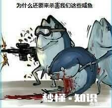 鱼缸里的水是茶色的，是怎么回事如何处理