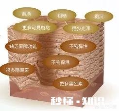 怎么涂粉底才能不浮粉脱妆，看起来很自然